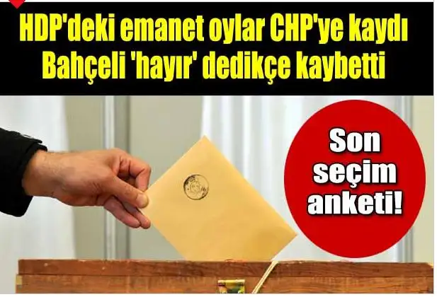 seçim.webp