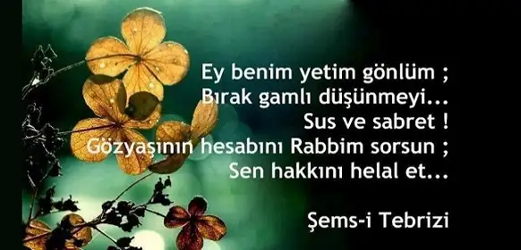 şems.webp