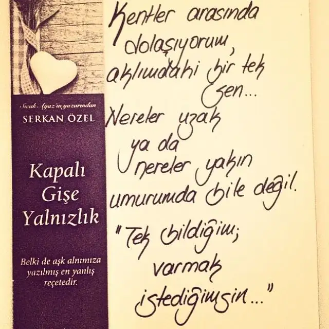 serkan özel 4.webp