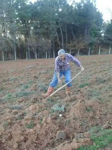sertan_acar (7).webp