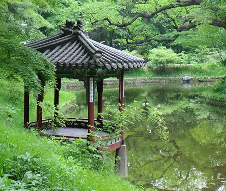 seul450.webp