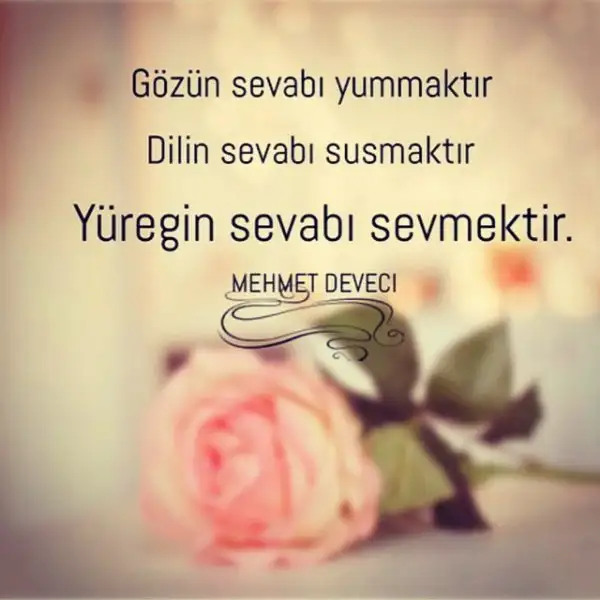 SEVMEK.webp