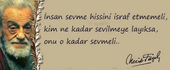 sevmekNF.webp