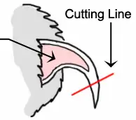 sheath.png
