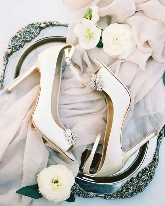 shoe1.webp