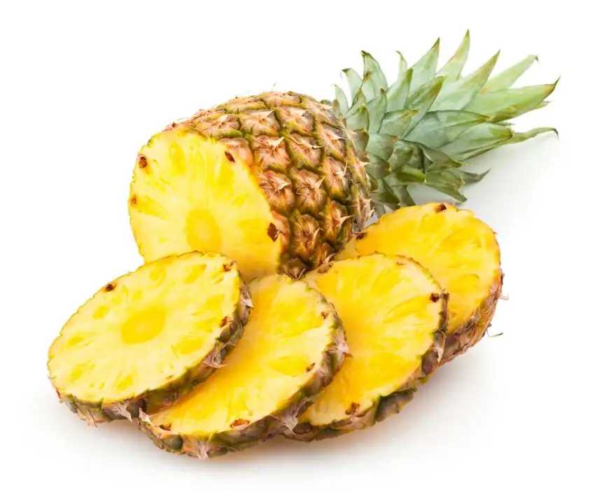 shred_diyet_listesi.webp