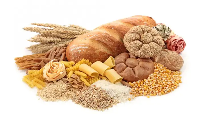 shutterstock_95067928-1-710x400.webp