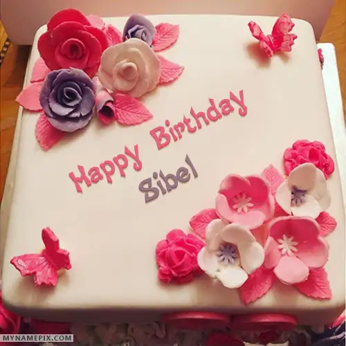 sibel_4a15562f.webp