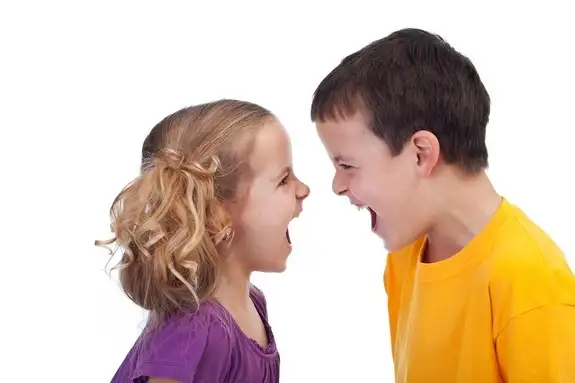 sibling-fight-130617jpg-728x728.webp