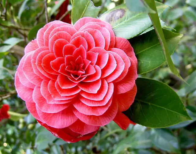 simetri-tutkunlarina-ozel-kareler-5580638.webp