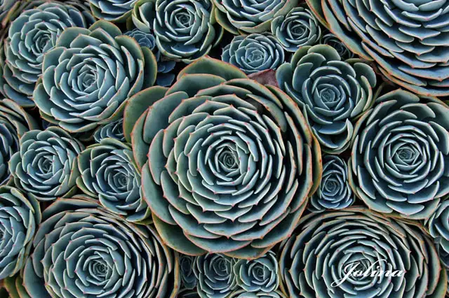 simetri-tutkunlarina-ozel-kareler-5580646.webp