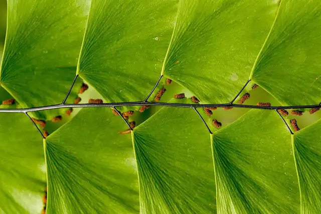 simetri-tutkunlarina-ozel-kareler-5580650.webp
