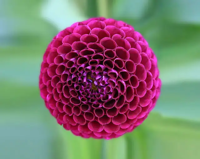 simetri-tutkunlarina-ozel-kareler-5580656.webp