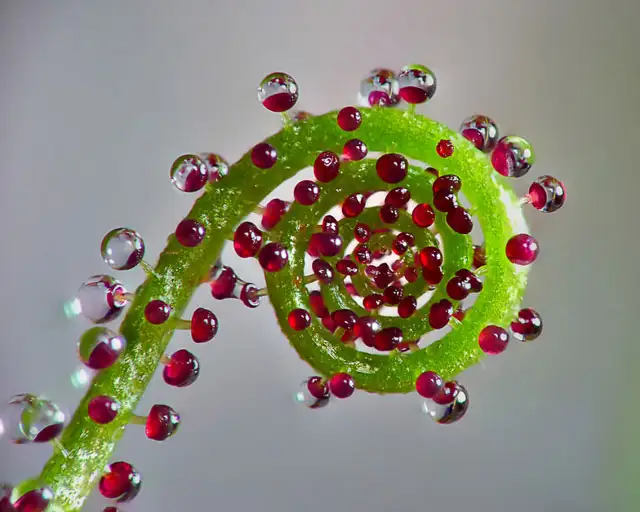 simetri-tutkunlarina-ozel-kareler-5580658.webp