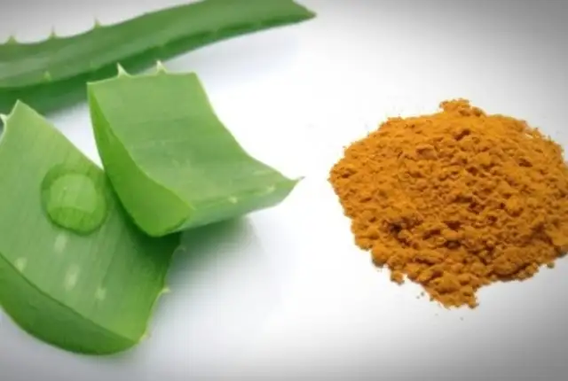 Siyah_Noktara_Aloe_Vera_Tarcin_Maskesi_Tarifi.jpg