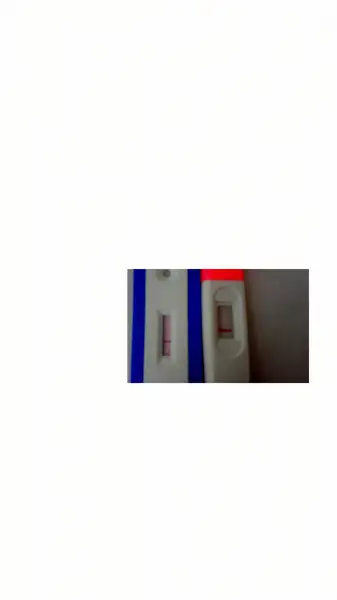 sketch-1504342789316.webp
