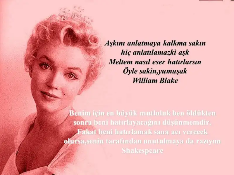 slide_3.webp