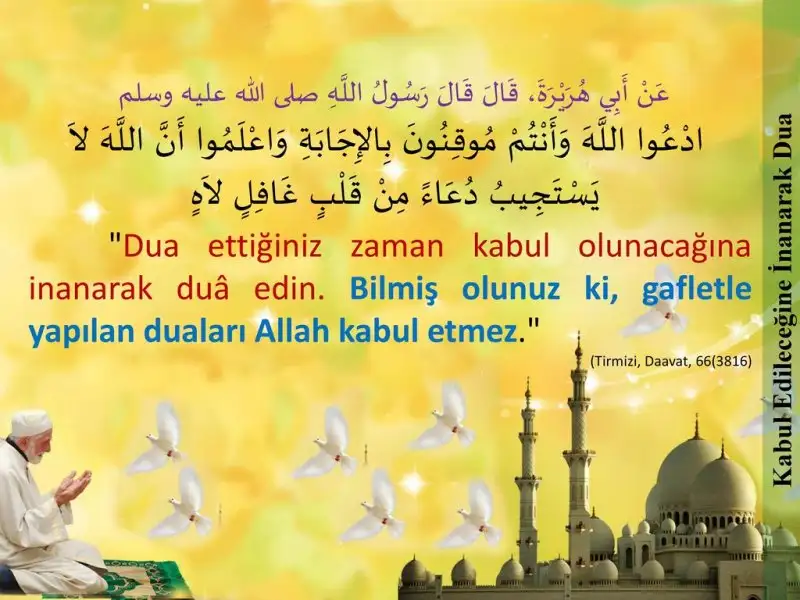 slide_48.webp