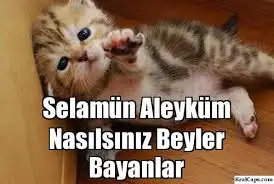 slm.webp