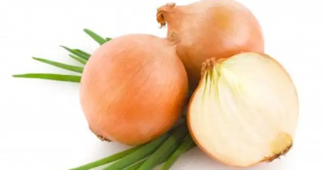 sogan_kuru_adet_sokturur_mu.webp