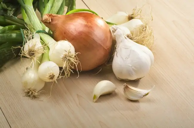 sogan_ve_sarimsak.webp