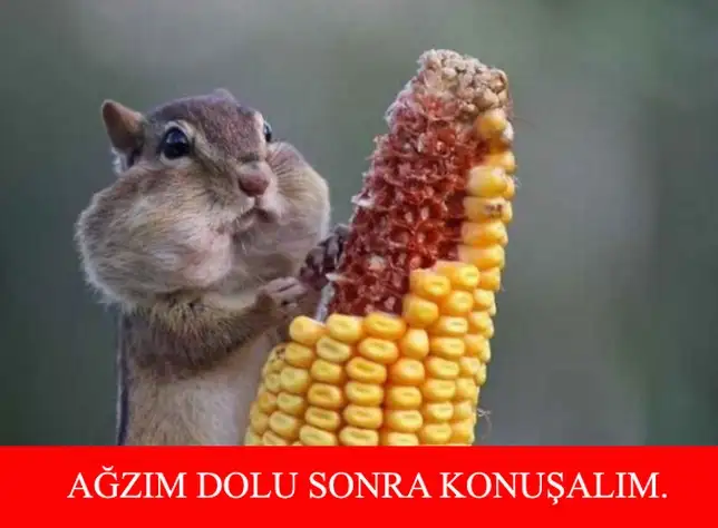 sonra-konusalim.webp