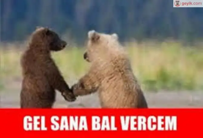 sozluk-kizlarinin-ayaklari_1340998_m.webp