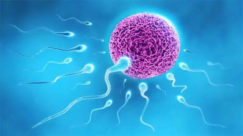 sperm-donasyonu1-319x7ab3d1ldy3qgvkdlvk.webp