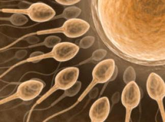 sperm-sayisini-arttirma-5929.jpg