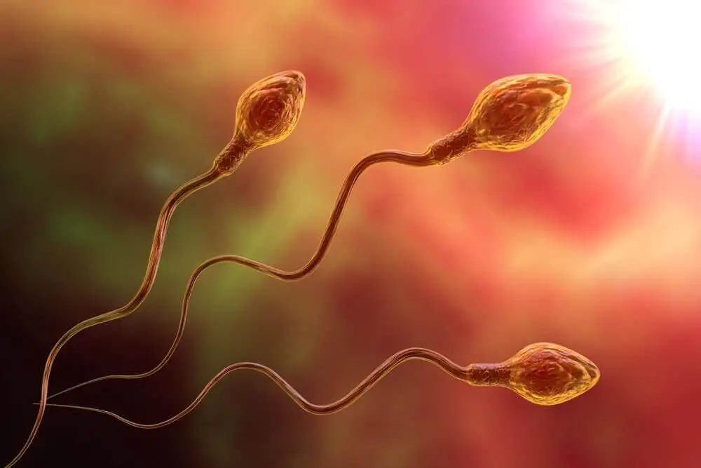 sperm bozukluğu