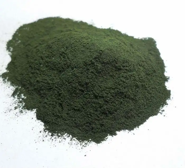 spirulina_algae.webp