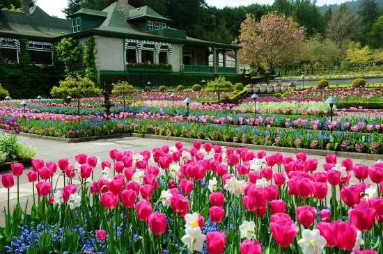 spring-full-italian-garden.webp