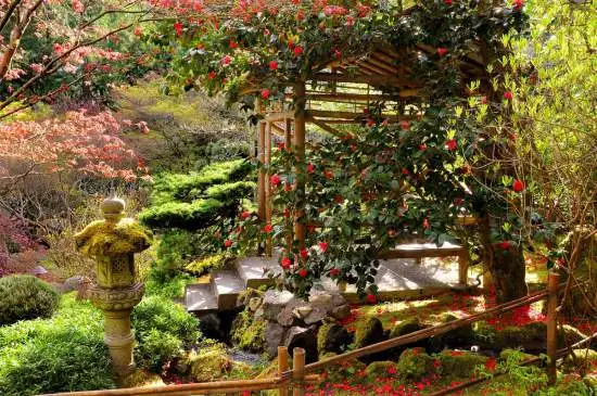 spring-full-japanese-garden.webp