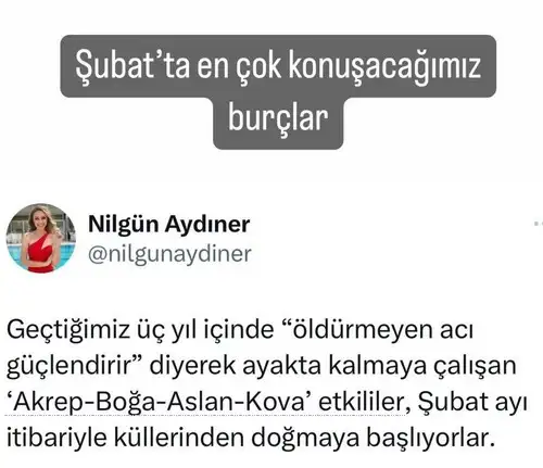 şş.webp