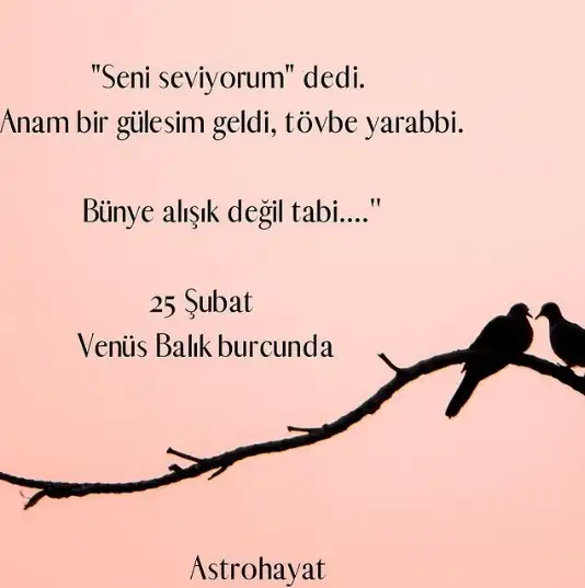 sss.webp
