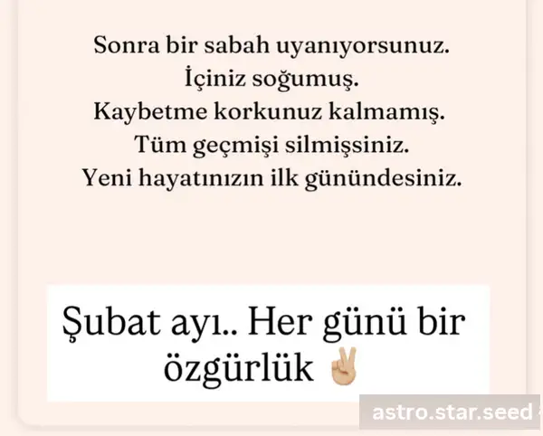 şşu.webp
