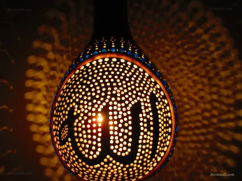 Su-Kabağı-Süs-Kabağı-3.webp