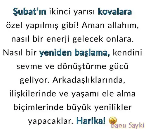 şub (1).webp