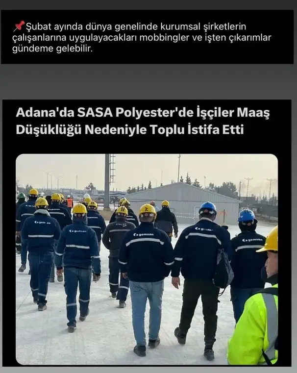 şub (1).webp