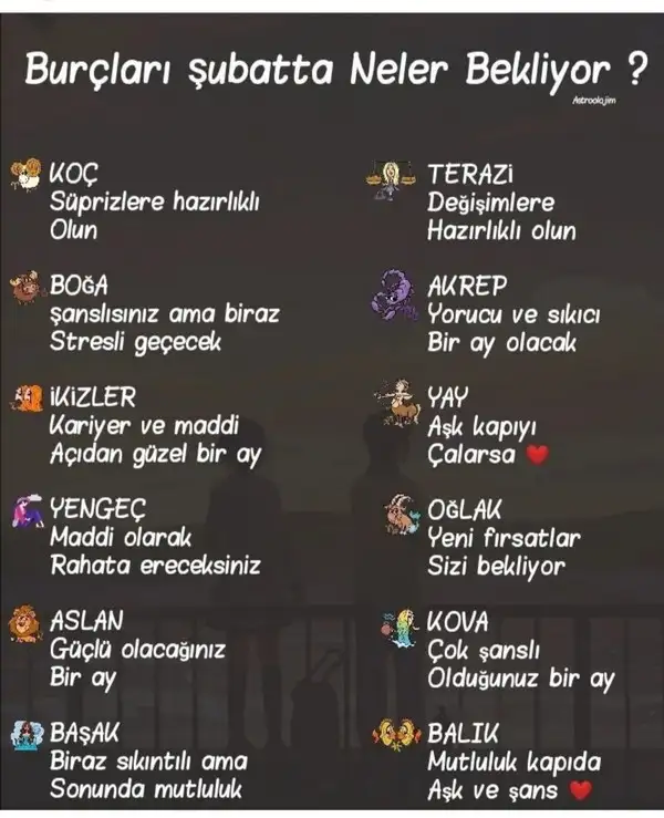 şub1 (1).webp