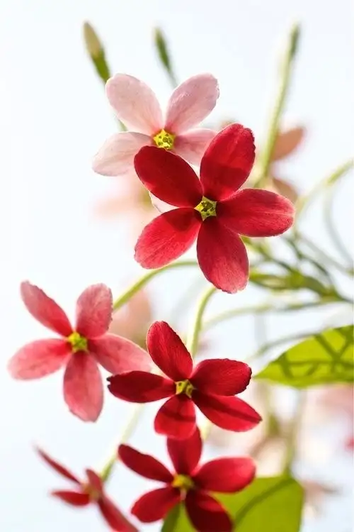 şubat aylık (17)t.webp