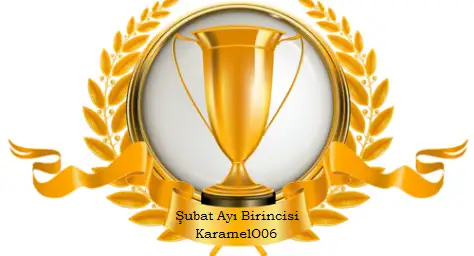 ŞUBAT.webp