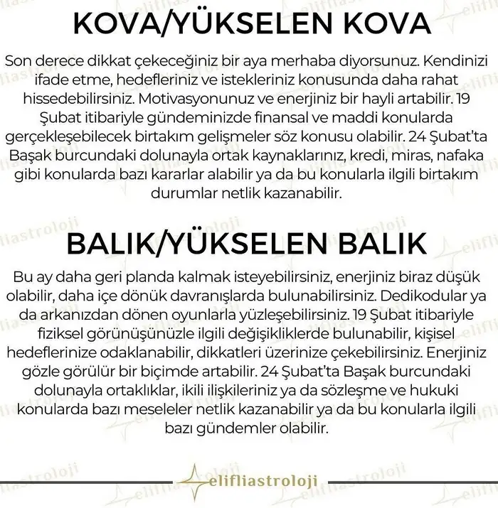 şubat34 (1).webp