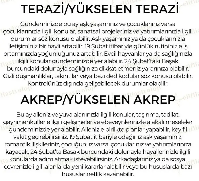 şubat34 (3).webp