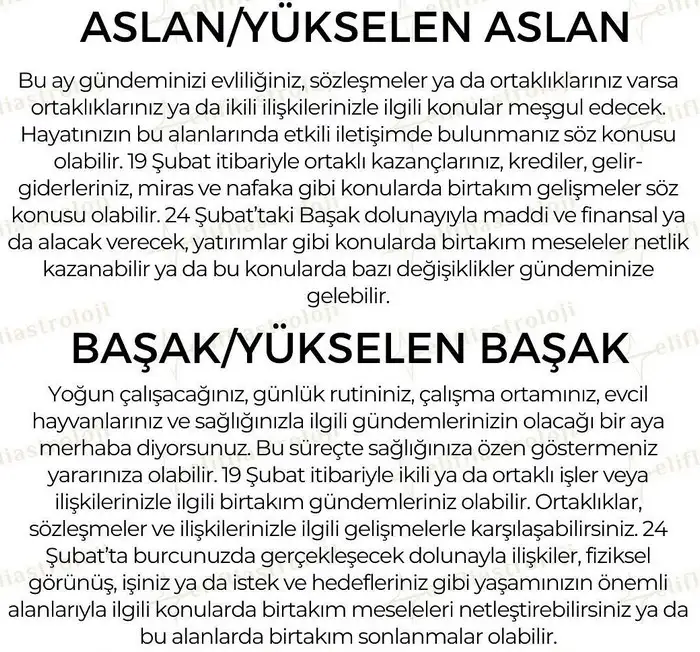 şubat34 (4).webp