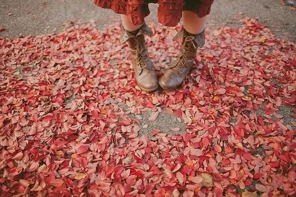 şubatt (2).webp