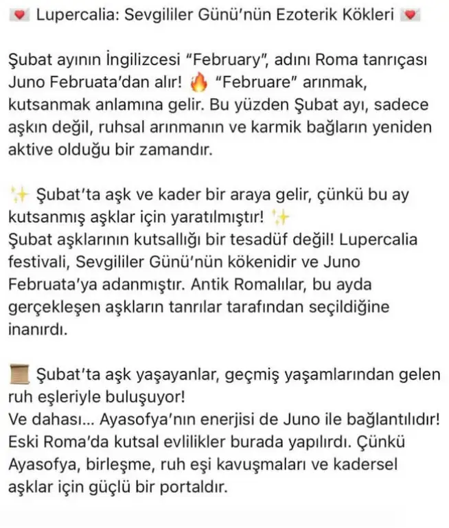 şubb (2).webp