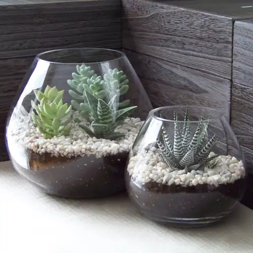 Succulent-Terrarium-1_ad4f2ff0f6598d3481b8095a08641d6c.webp