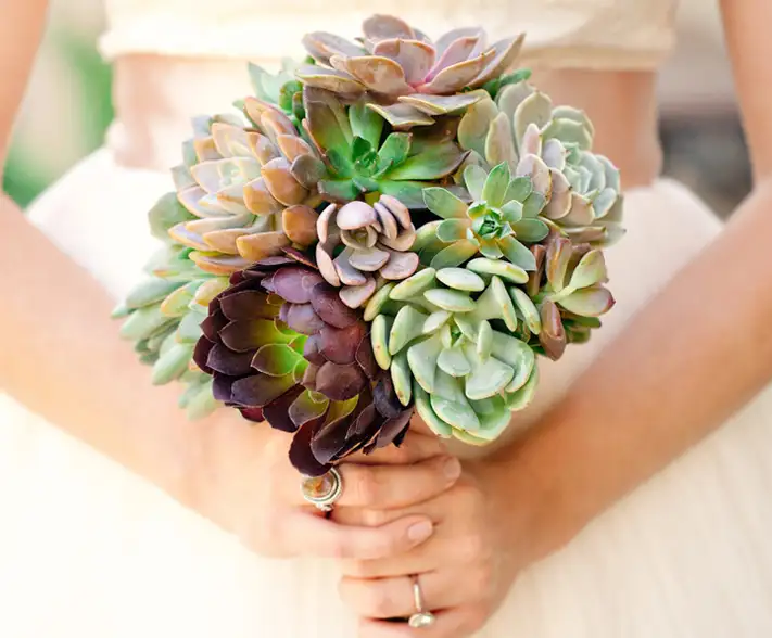 succulent-wedding-bouquet-237 (1).webp