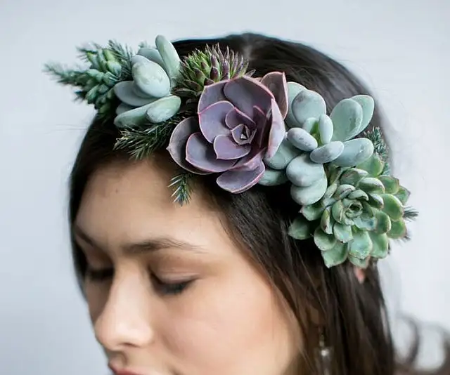 succulents-jewelry-640x534.webp